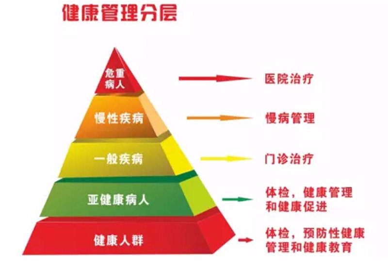 访谈记录：探讨健康科技公司的崛起与未来