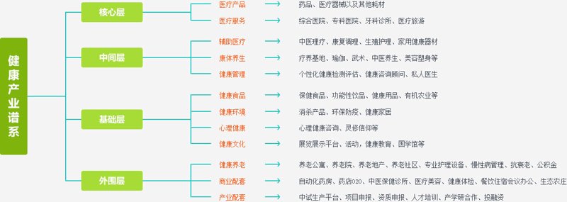 广东正弘健康的崛起与挑战