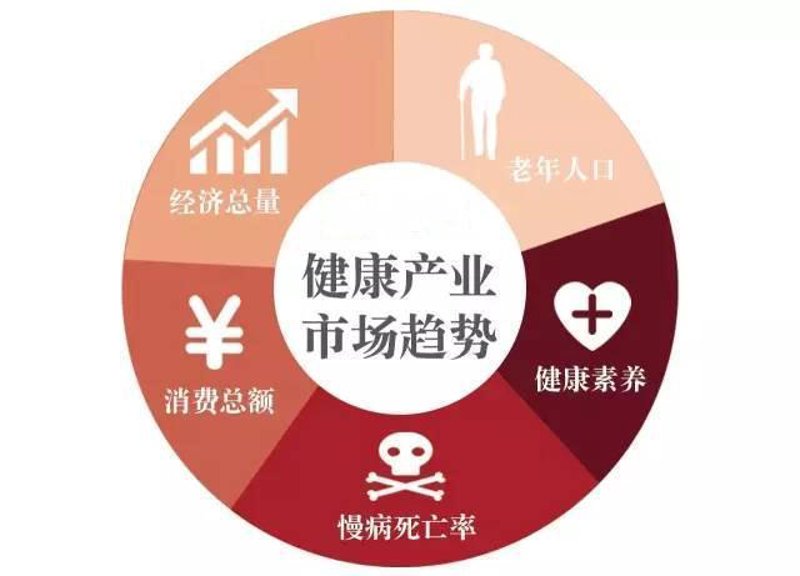 访谈记录：探索健康科技公司的未来之路